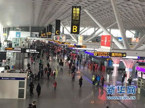 郑州机场春节前三天平稳运行 停车场车位持续紧张